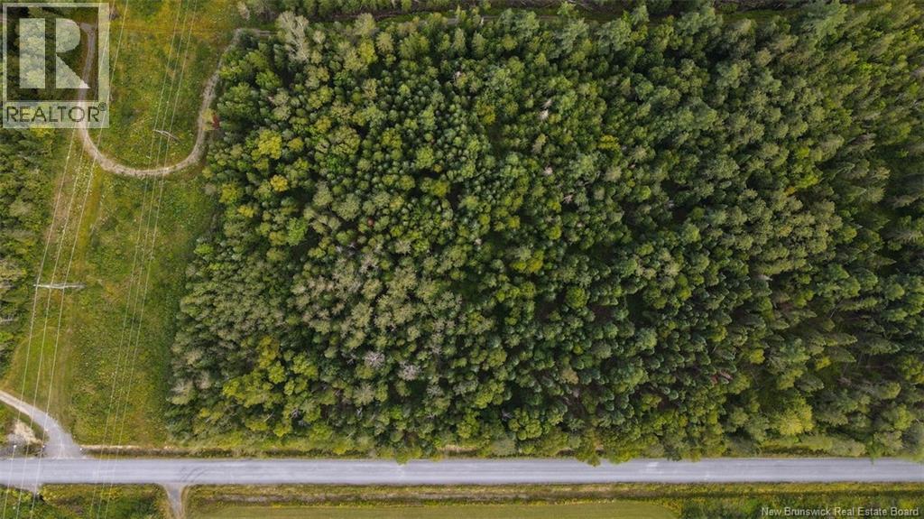 Lot Doucet Road, Rivière-Verte, New Brunswick