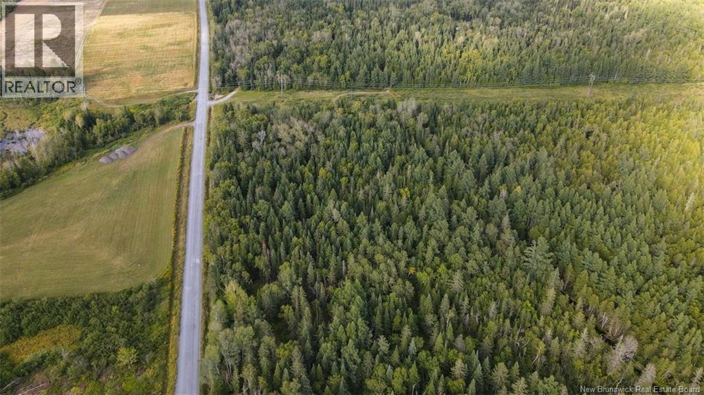 Lot Doucet Road, Rivière-Verte, New Brunswick  E7B 1T7 - Photo 4 - NB125484