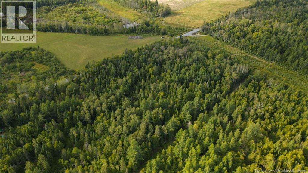 Lot Doucet Road, Rivière-Verte, New Brunswick  E7B 1T7 - Photo 5 - NB125484