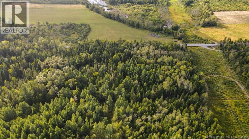 Lot Doucet Road, Rivière-Verte, New Brunswick  E7B 1T7 - Photo 6 - NB125484