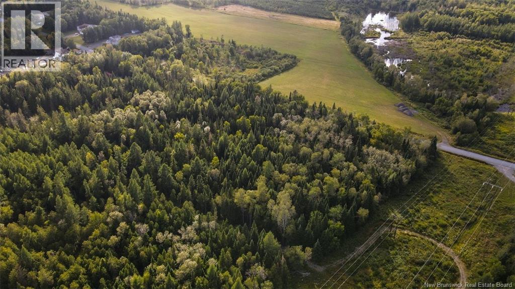 Lot Doucet Road, Rivière-Verte, New Brunswick  E7B 1T7 - Photo 7 - NB125484