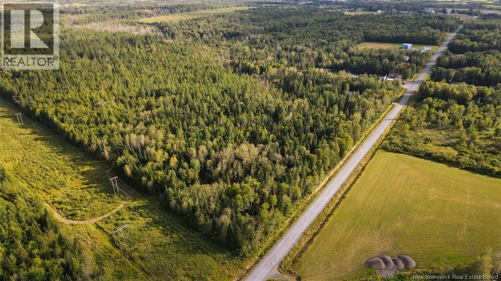 Lot Doucet Road, Rivière-Verte, New Brunswick  E7B 1T7 - Photo 9 - NB125484