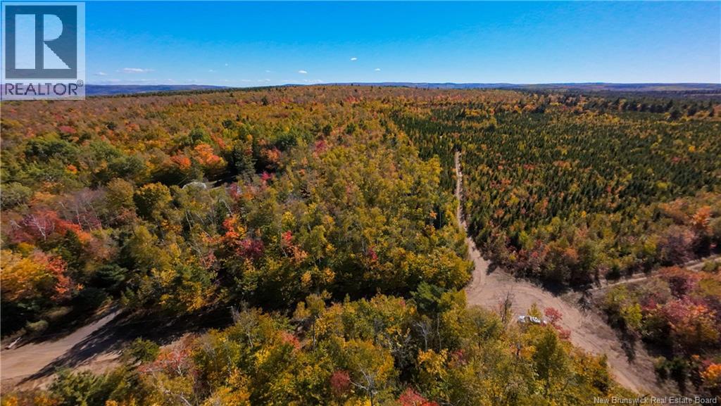 Na Green Road, Elgin, New Brunswick E4Z 1L7 - Photo 6 - NB125566