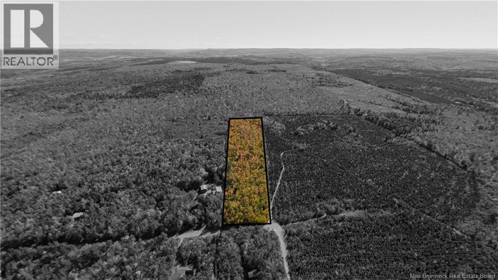 Na Green Road, Elgin, New Brunswick E4Z 1L7 - Photo 8 - NB125566