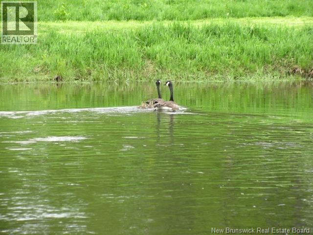 0 Gulguac Road, Oxbow, New Brunswick  E7G 2L4 - Photo 2 - NB125424