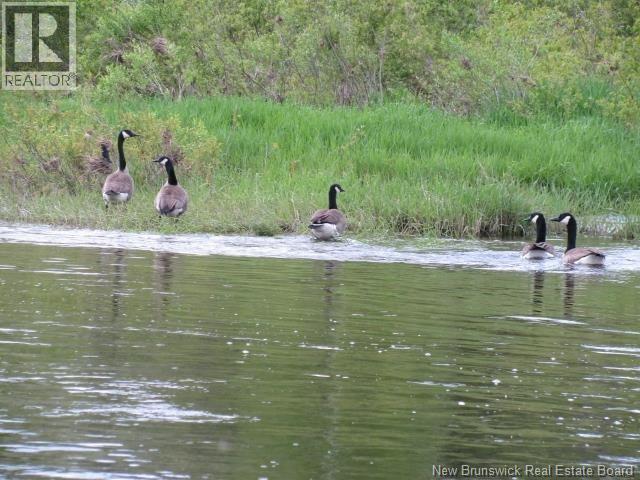 0 Gulguac Road, Oxbow, New Brunswick  E7G 2L4 - Photo 3 - NB125424