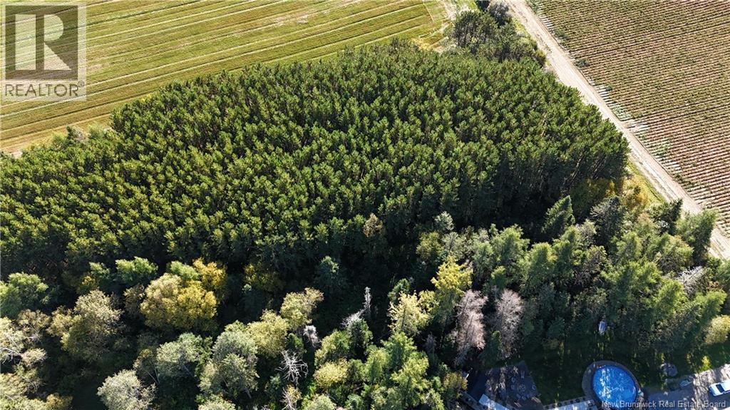 Lot Waddell Road, Saint-André, New Brunswick  E3Y 3L9 - Photo 3 - NB125643