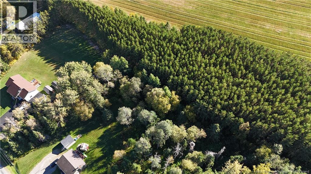 Lot Waddell Road, Saint-André, New Brunswick  E3Y 3L9 - Photo 4 - NB125643