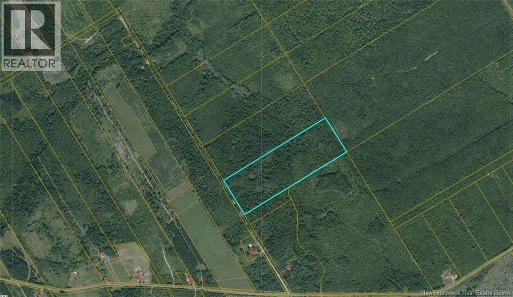 Woodlot Goguen Road, Sweeneyville, New Brunswick  E4T 3N4 - Photo 1 - NB125432