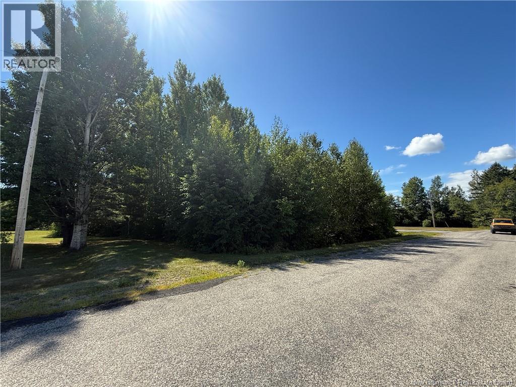 Quinn Street, Miramichi, New Brunswick  E1V 6J4 - Photo 4 - NB125704