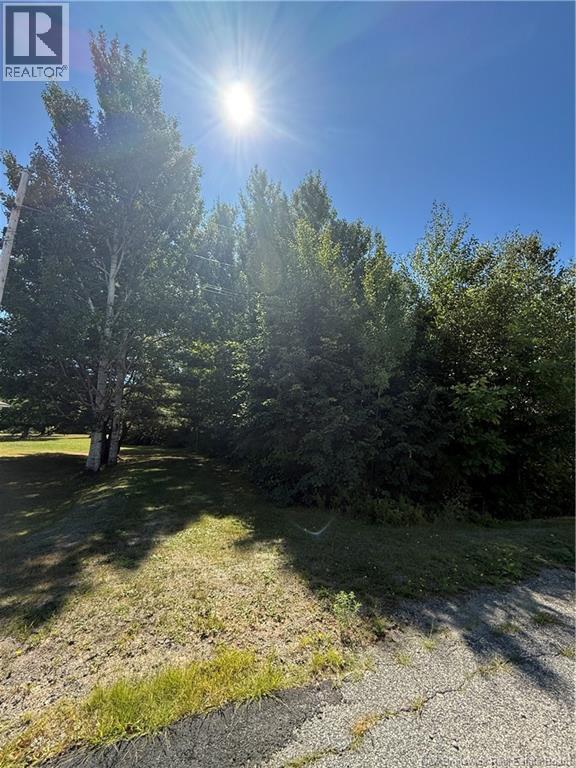 Quinn Street, Miramichi, New Brunswick  E1V 6J4 - Photo 7 - NB125704