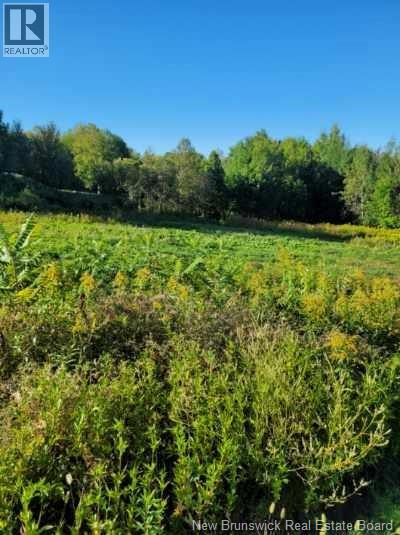 89-38 Parkhurst Drive, Grafton, New Brunswick