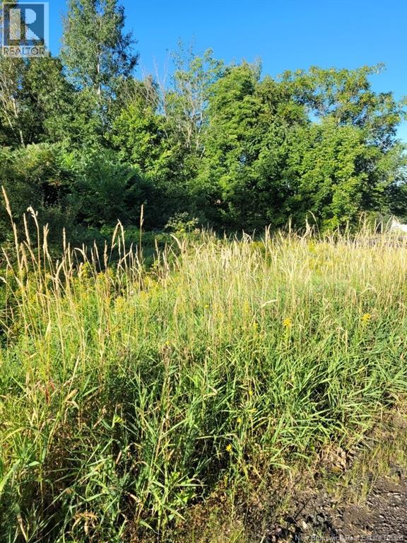 N/a Mark Street, Grafton, New Brunswick  E7N 1N9 - Photo 1 - NB125736