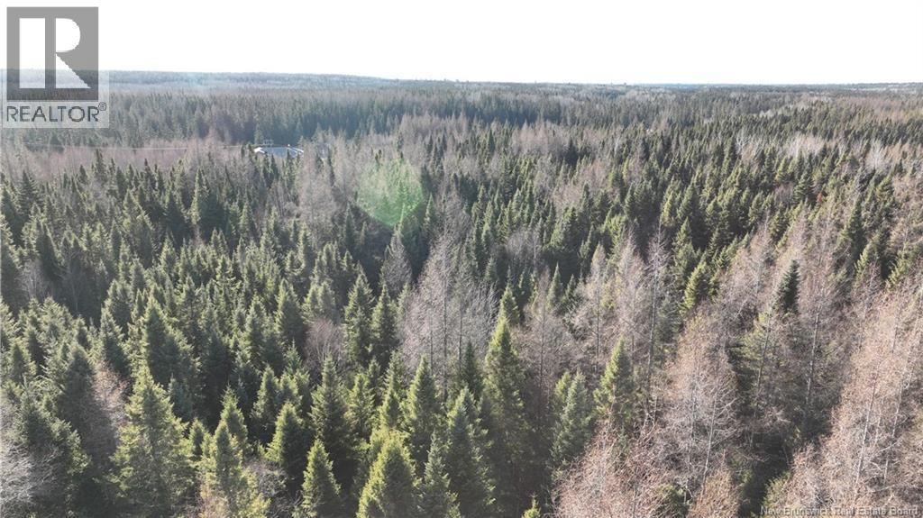 3.34 Hec Hwy 430, Chaplin Island Road, New Brunswick  E2L 4K1 - Photo 2 - NB125856