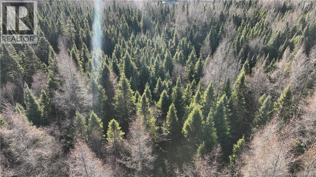 3.34 Hec Hwy 430, Chaplin Island Road, New Brunswick  E2L 4K1 - Photo 3 - NB125856