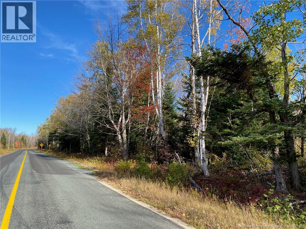 Lot Route 440, Rosaireville, New Brunswick  E4Y 2Y6 - Photo 4 - NB125845