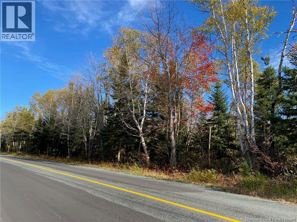 Lot Route 440, Rosaireville, New Brunswick  E4Y 2Y6 - Photo 5 - NB125845