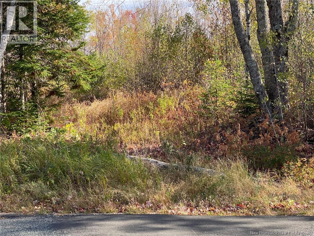 Lot Route 440, Rosaireville, New Brunswick  E4Y 2Y6 - Photo 7 - NB125845