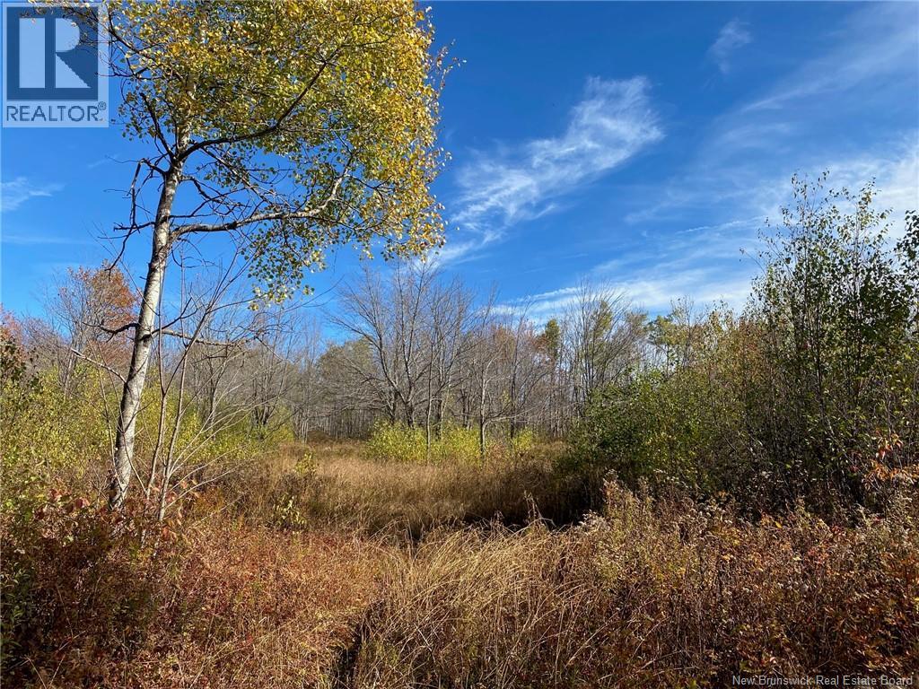 Lot Route 440, Rosaireville, New Brunswick  E4Y 2Y6 - Photo 8 - NB125845