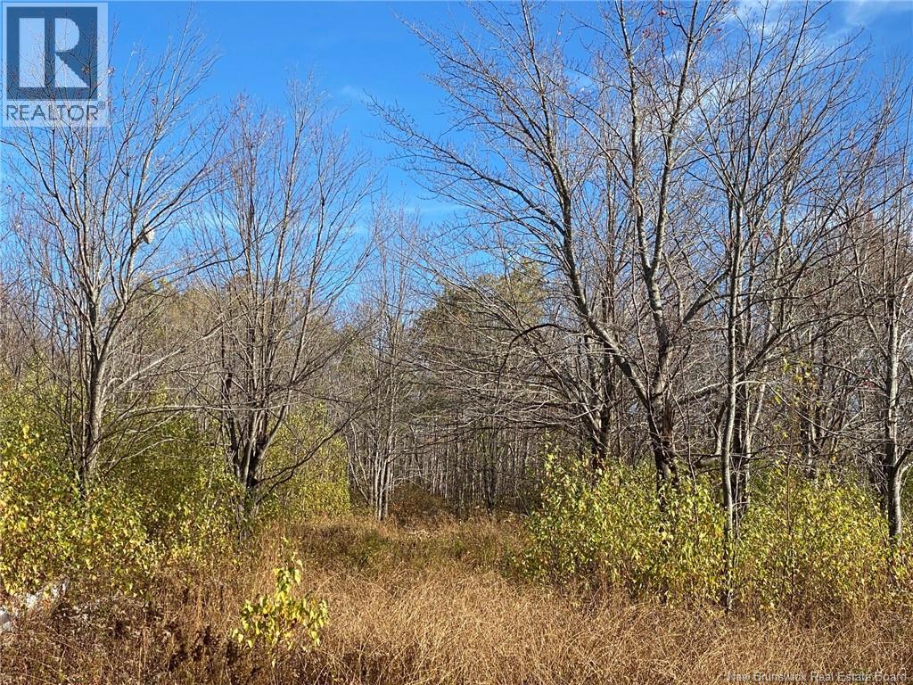 Lot Route 440, Rosaireville, New Brunswick  E4Y 2Y6 - Photo 9 - NB125845