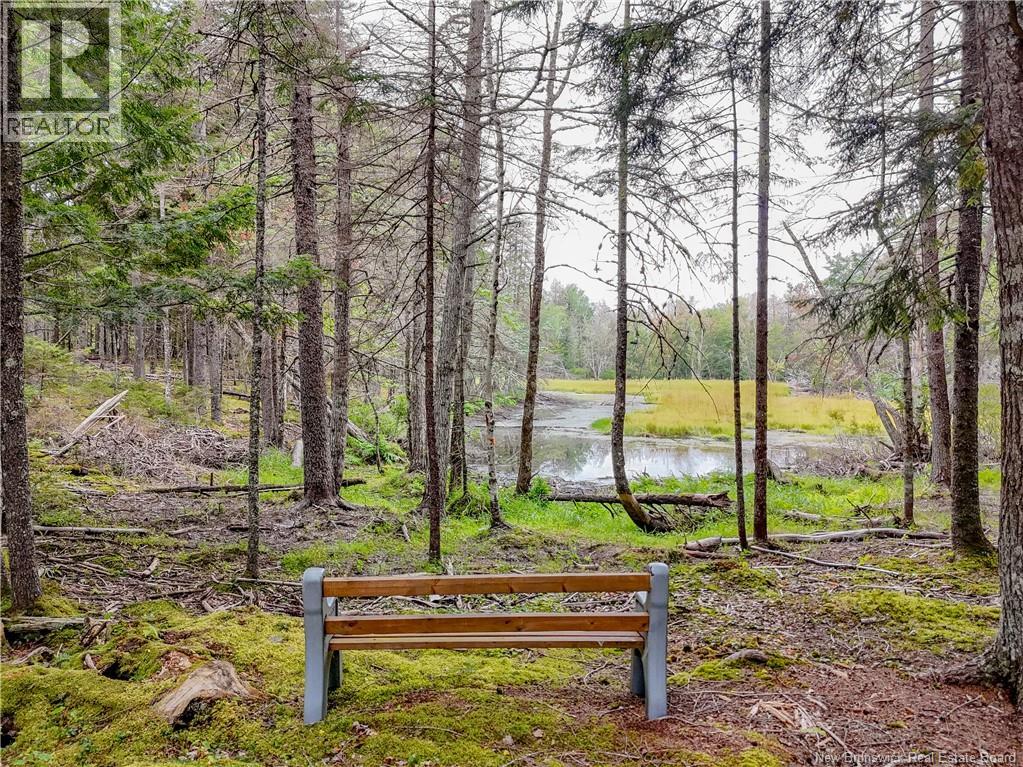 183 Route 628, Penniac, New Brunswick E3A 8Y1 - Photo 41 - NB125837