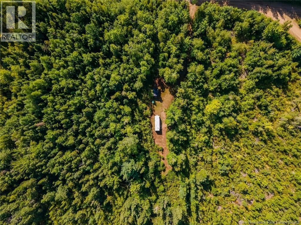 1620 Saint-Sosime Road, Adamsville, New Brunswick  E4T 2G9 - Photo 15 - NB124784