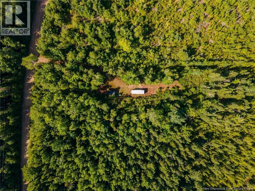 1620 Saint-Sosime Road, Adamsville, New Brunswick  E4T 2G9 - Photo 16 - NB124784