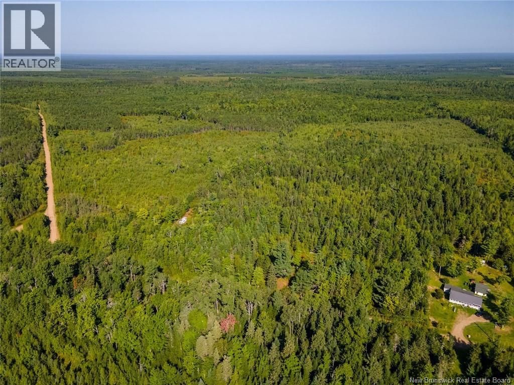 1620 Saint-Sosime Road, Adamsville, New Brunswick  E4T 2G9 - Photo 18 - NB124784
