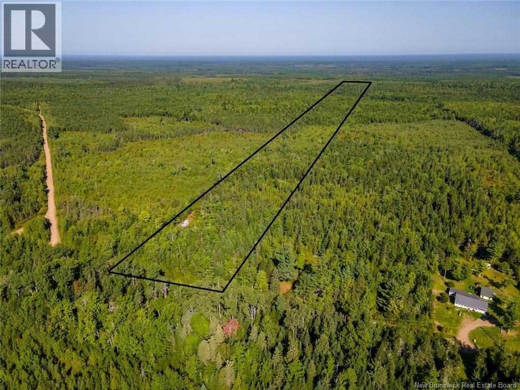 1620 Saint-Sosime Road, Adamsville, New Brunswick  E4T 2G9 - Photo 19 - NB124784