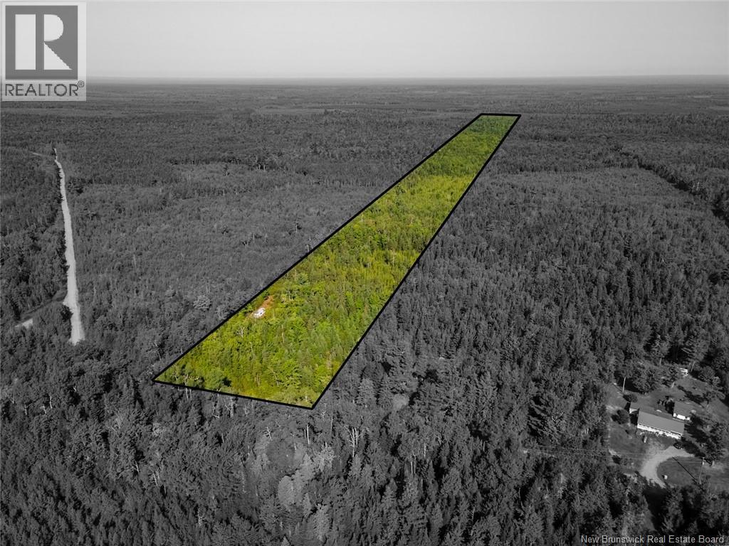 1620 Saint-Sosime Road, Adamsville, New Brunswick  E4T 2G9 - Photo 20 - NB124784