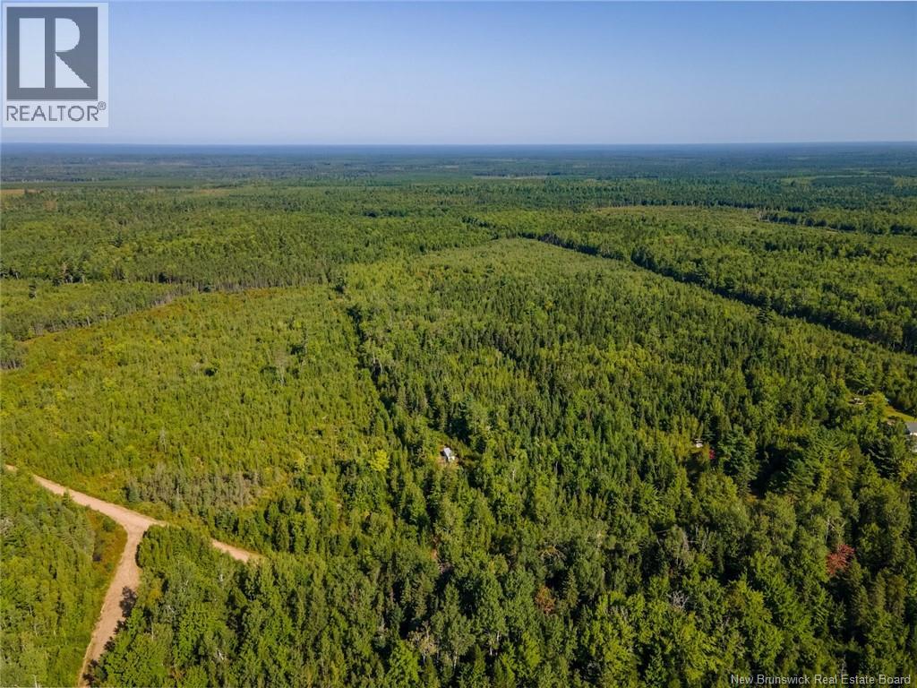 1620 Saint-Sosime Road, Adamsville, New Brunswick  E4T 2G9 - Photo 21 - NB124784