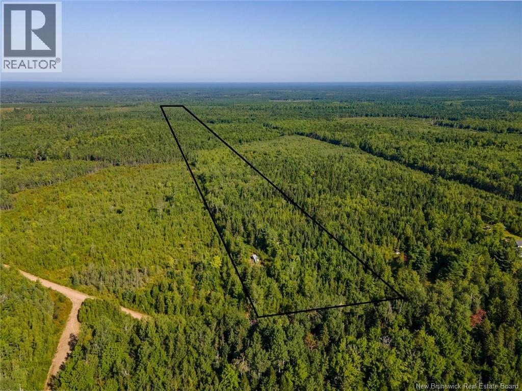 1620 Saint-Sosime Road, Adamsville, New Brunswick  E4T 2G9 - Photo 22 - NB124784