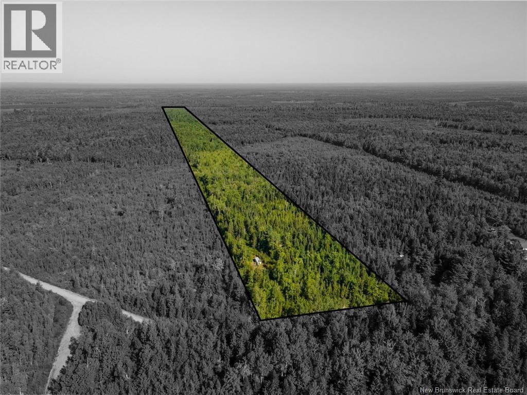 1620 Saint-Sosime Road, Adamsville, New Brunswick  E4T 2G9 - Photo 23 - NB124784