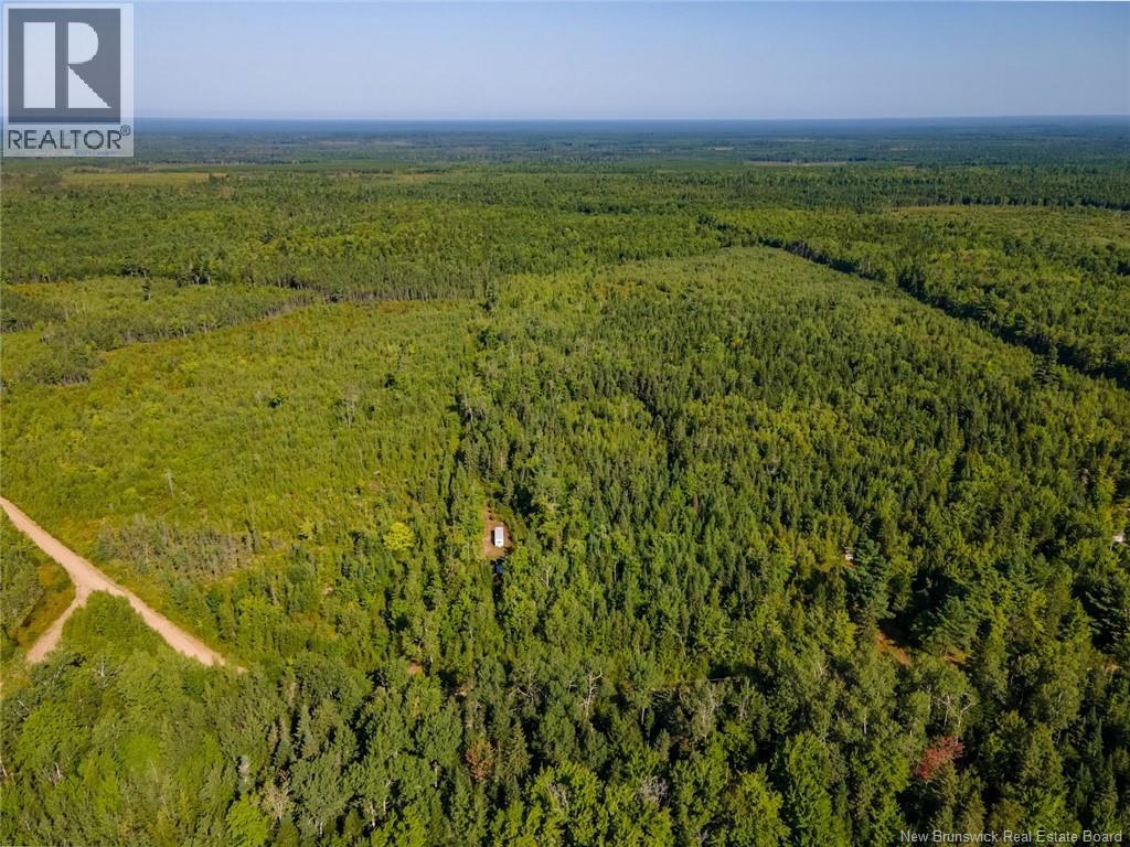 1620 Saint-Sosime Road, Adamsville, New Brunswick  E4T 2G9 - Photo 24 - NB124784