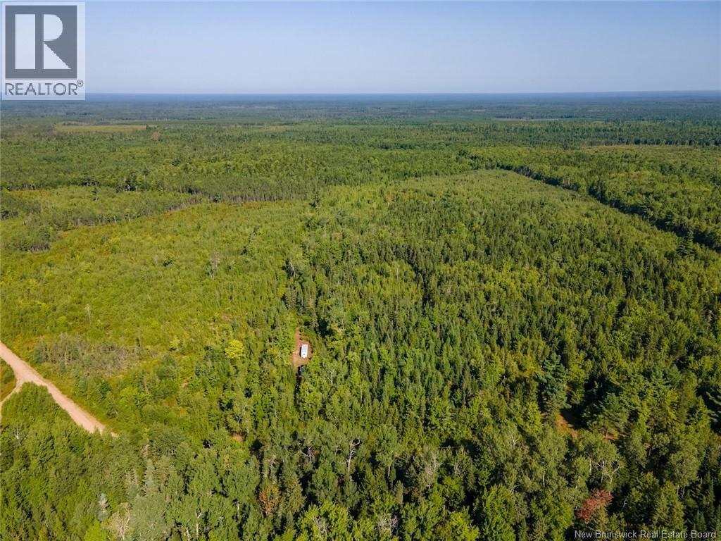 1620 Saint-Sosime Road, Adamsville, New Brunswick  E4T 2G9 - Photo 25 - NB124784