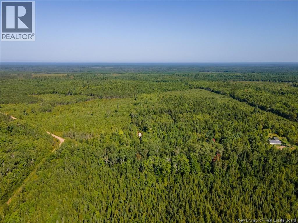 1620 Saint-Sosime Road, Adamsville, New Brunswick  E4T 2G9 - Photo 27 - NB124784