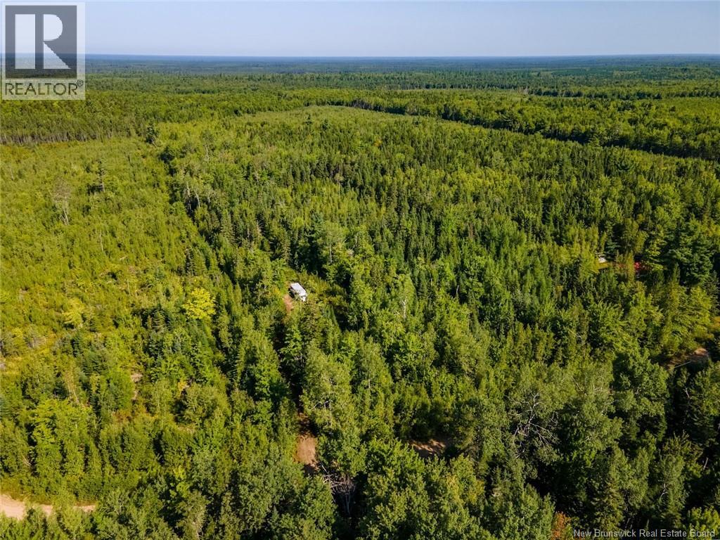1620 Saint-Sosime Road, Adamsville, New Brunswick  E4T 2G9 - Photo 28 - NB124784