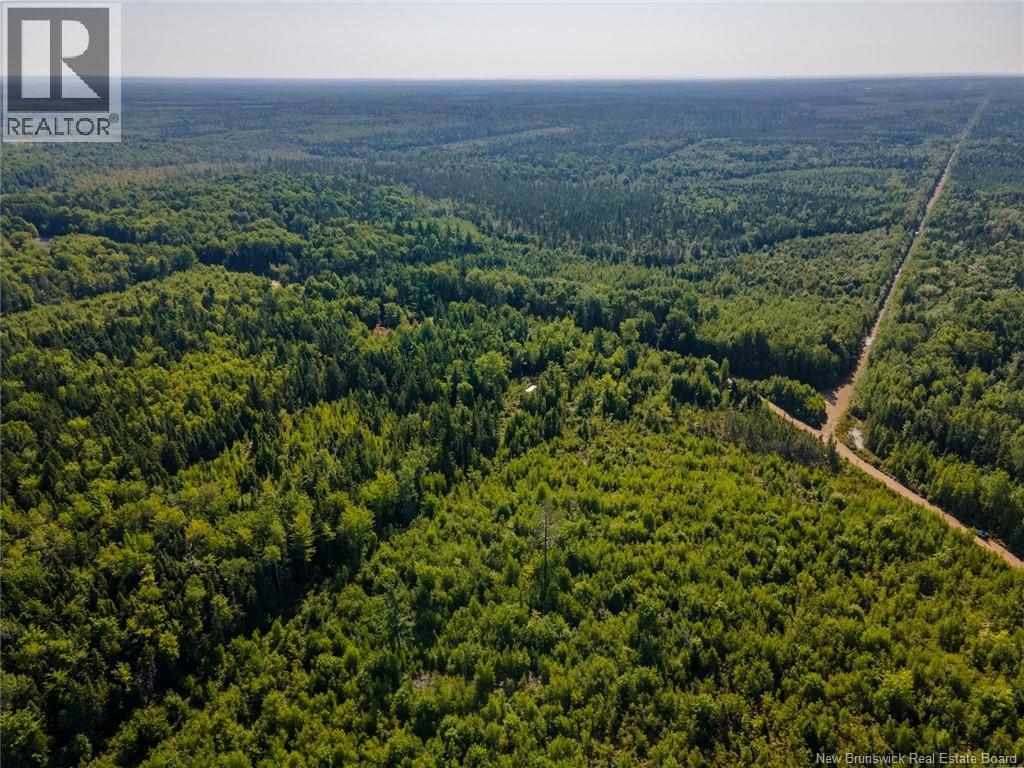 1620 Saint-Sosime Road, Adamsville, New Brunswick  E4T 2G9 - Photo 31 - NB124784