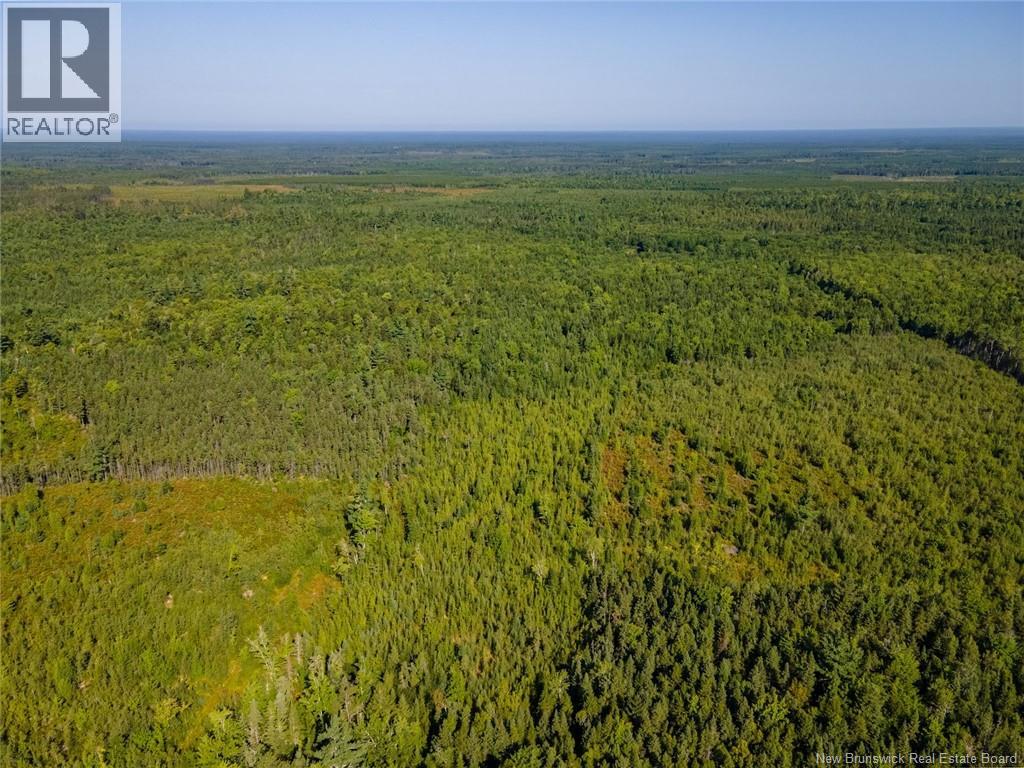 1620 Saint-Sosime Road, Adamsville, New Brunswick  E4T 2G9 - Photo 32 - NB124784