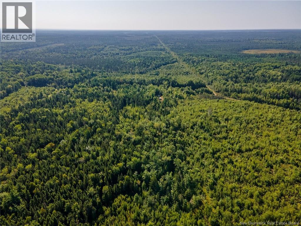1620 Saint-Sosime Road, Adamsville, New Brunswick  E4T 2G9 - Photo 33 - NB124784