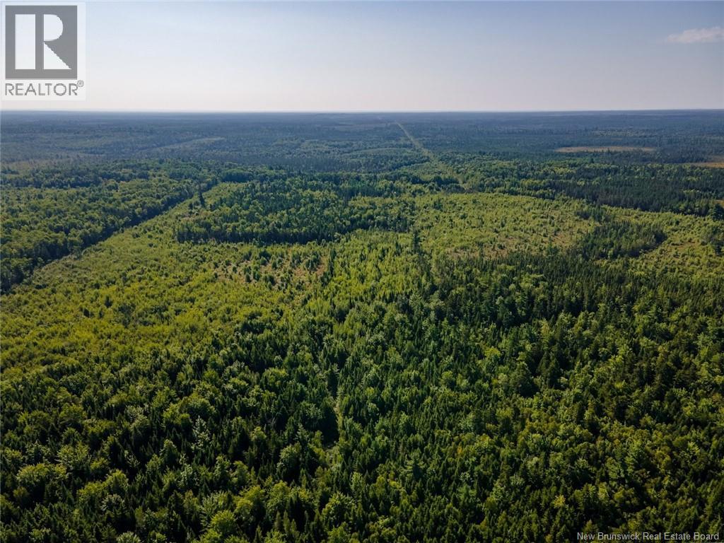 1620 Saint-Sosime Road, Adamsville, New Brunswick  E4T 2G9 - Photo 34 - NB124784