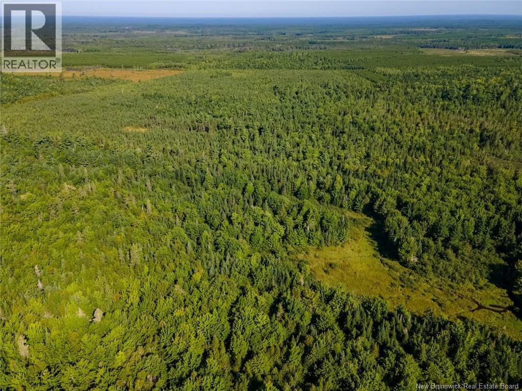 1620 Saint-Sosime Road, Adamsville, New Brunswick  E4T 2G9 - Photo 35 - NB124784