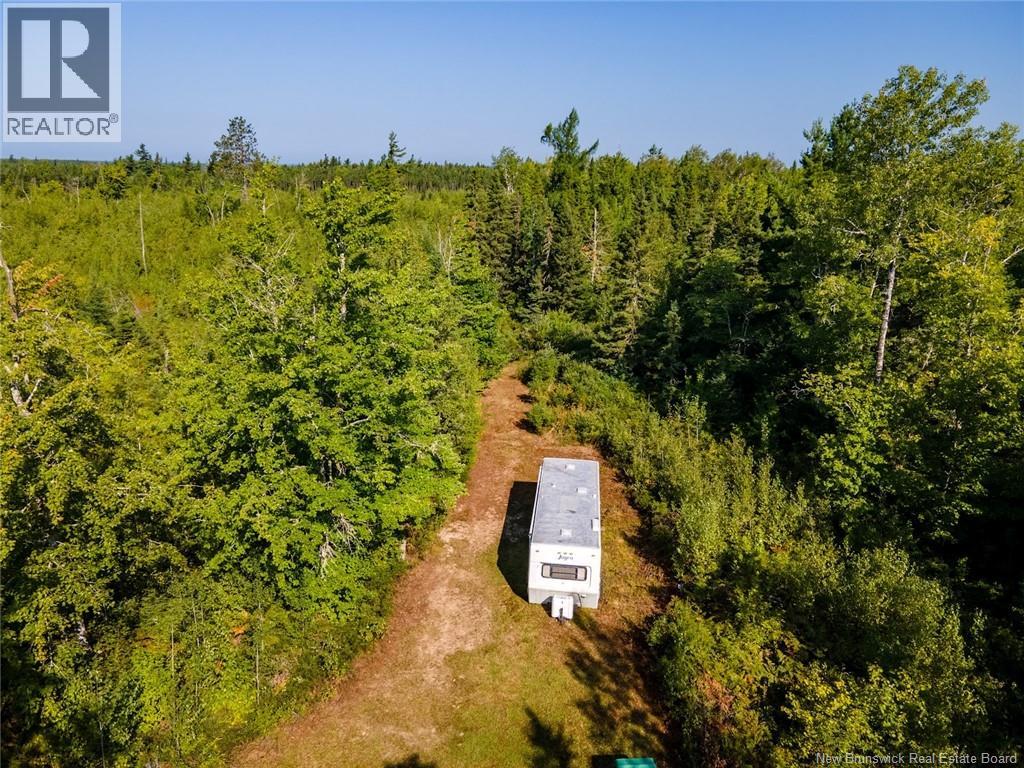 1620 Saint-Sosime Road, Adamsville, New Brunswick  E4T 2G9 - Photo 9 - NB124784
