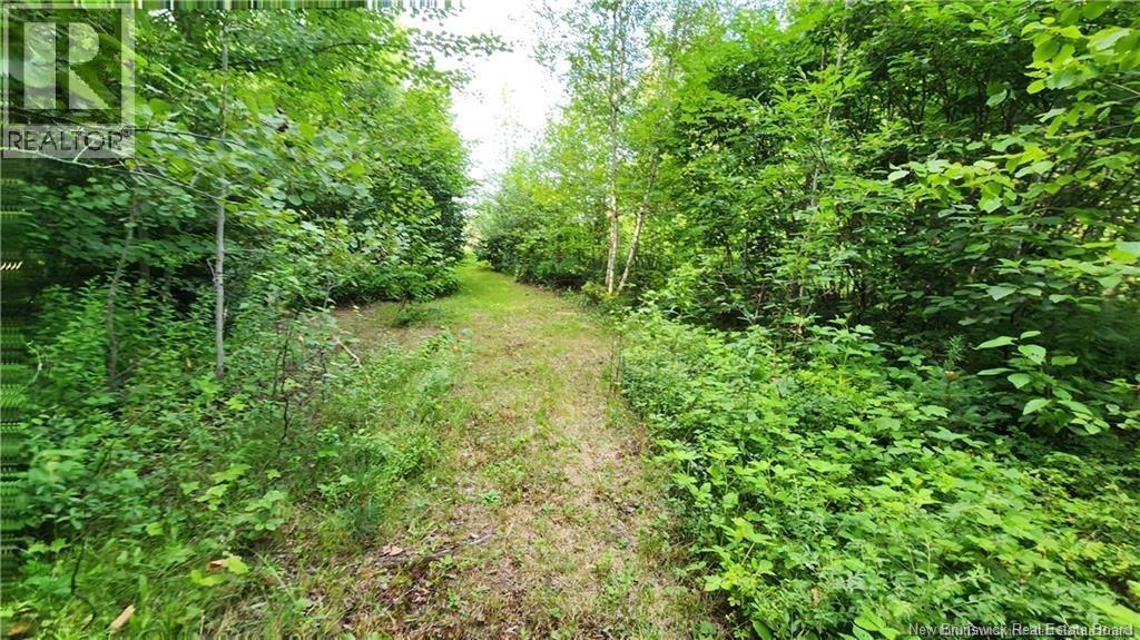 7.6 Acres Rue Pinet, Bertrand, New Brunswick E1X 1L3 - Photo 2 - NB125918