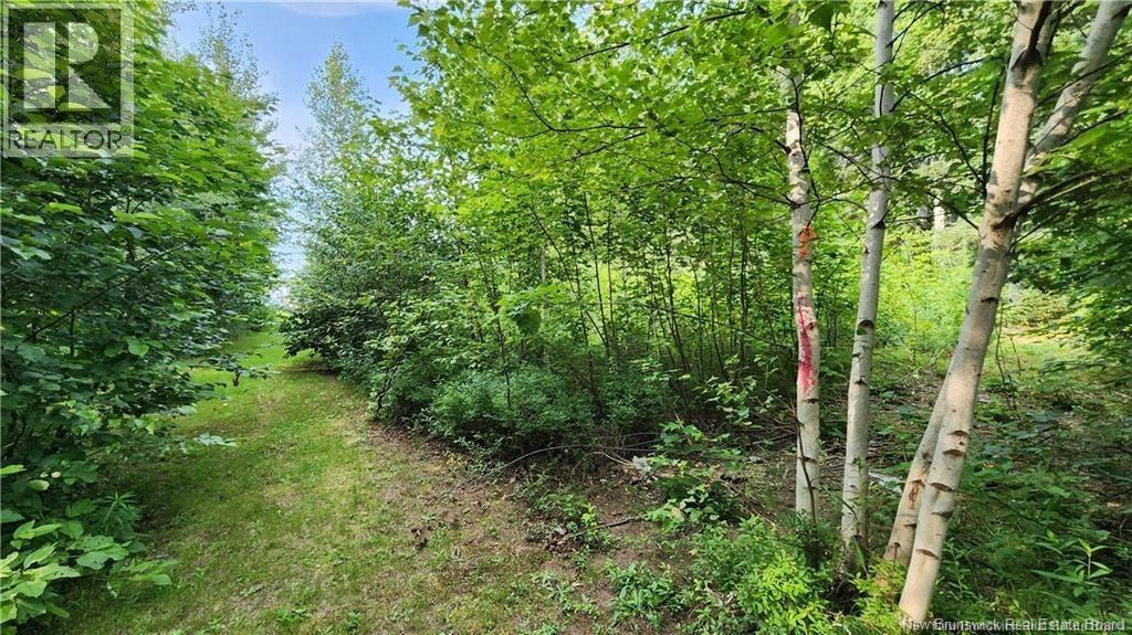 7.6 Acres Rue Pinet, Bertrand, New Brunswick E1X 1L3 - Photo 4 - NB125918