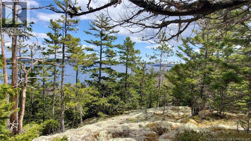 Cunnigham Beach Dock Road, Chamcook, New Brunswick E5B 0A9 - Photo 13 - NB125768