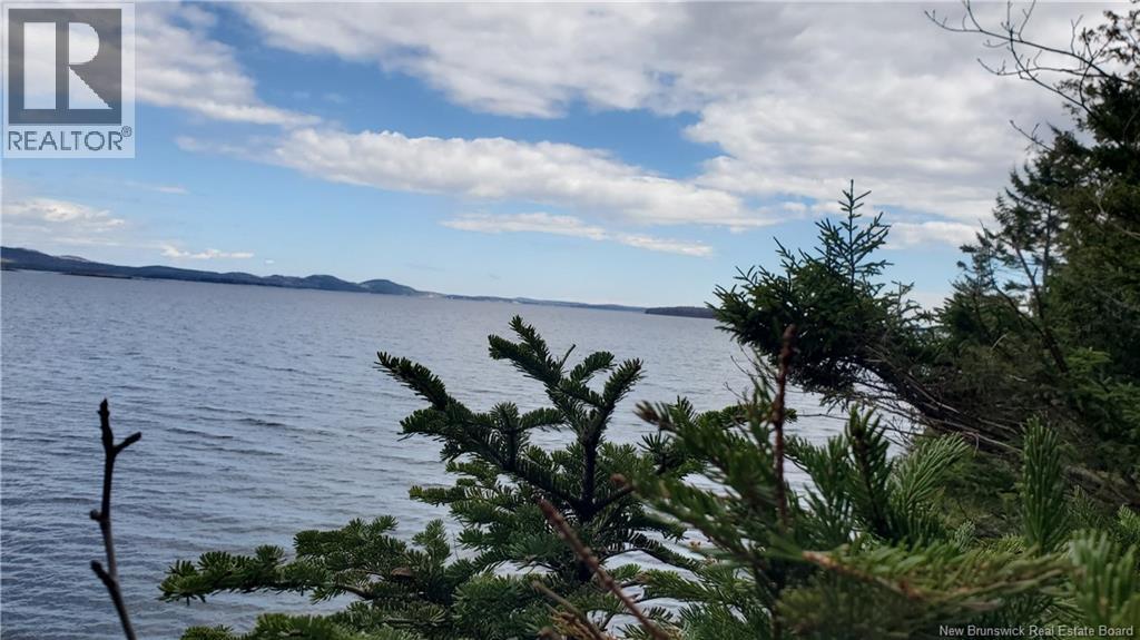 Cunnigham Beach Dock Road, Chamcook, New Brunswick E5B 0A9 - Photo 8 - NB125768