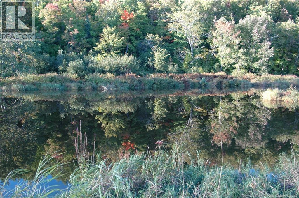 Main Street, Doaktown, New Brunswick E9C 1B7 - Photo 10 - NB126020