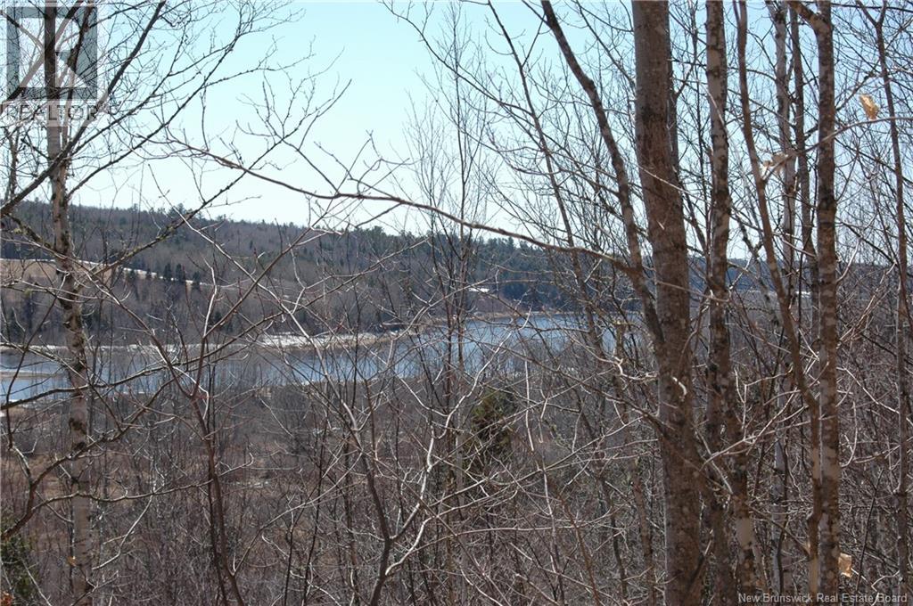 Main Street, Doaktown, New Brunswick E9C 1B7 - Photo 12 - NB126020