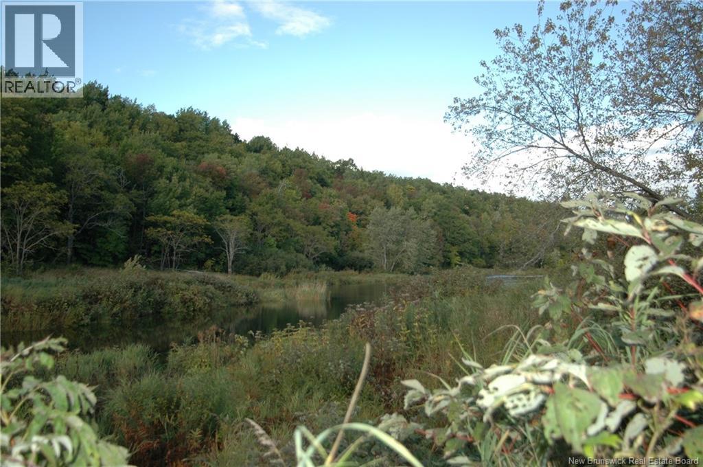 Main Street, Doaktown, New Brunswick E9C 1B7 - Photo 9 - NB126020